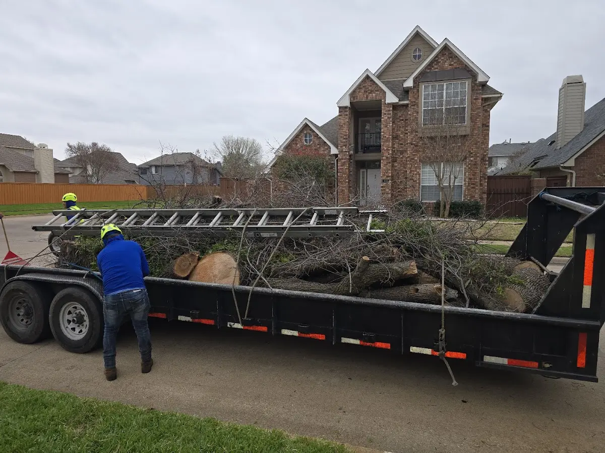 Expert Tree Fertilization with proper safety equipment in Kerrick